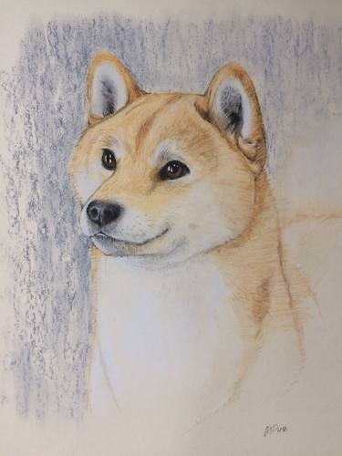 Saatchi Art Artist Maria Puzanova; Drawings, “Shiba inu 柴犬” #art