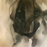Natural Beauty 6 by Tamara Bettencourt