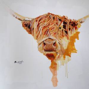 Collection Cow