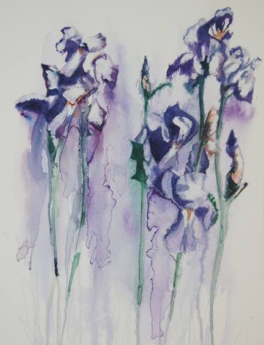 Original Illustration Floral Paintings by David Wilcox