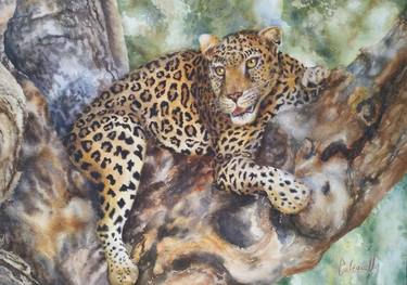 Original Figurative Animal Paintings by Galina N