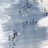 Collection Trending Now