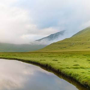 Collection Spring Refresh