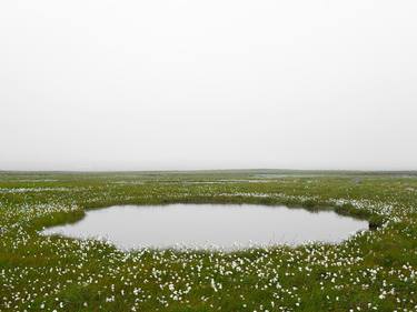 Cottongrass (Langanes, Iceland) - Limited Edition of 10 thumb