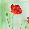 I've always loved the loose, charisma of a poppy. The year I painted this I had planted a row of about 8 poppies and enjoyed watching a new one bloom one day, while another died the next. They came and went so rapidly I had to celebrate them by simply illustrating when they graced me with their presence.