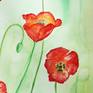 I've always loved the loose, charisma of a poppy. The year I painted this I had planted a row of about 8 poppies and enjoyed watching a new one bloom one day, while another died the next. They came and went so rapidly I had to celebrate them by simply illustrating when they graced me with their presence.