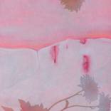 Collection H.K 