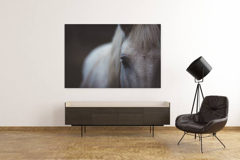 Original Modernism Horse Photography by Jonathan Orozco