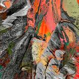 Collection Portraits