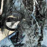 Collection Portraits