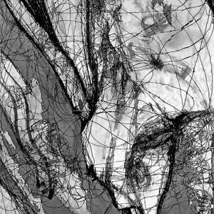 Collection Black and White Fine Art Drawings, Set 2