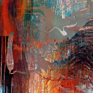 Collection Feast of Colors