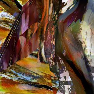 Collection Flamboyance