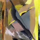 Collection Broader Strokes