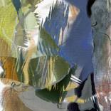 Collection Brush Merger