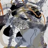 Collection Brush Variety