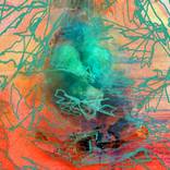 Collection Photopaintings