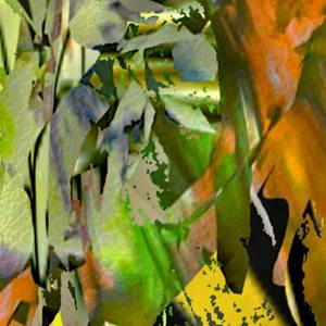 Collection Condensations