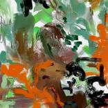 Collection Oppositions