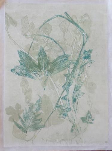 Original Botanic Printmaking by CLARE SMITH