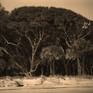 Collection Beaches and Lakes Sepia