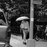 Collection Street Photography