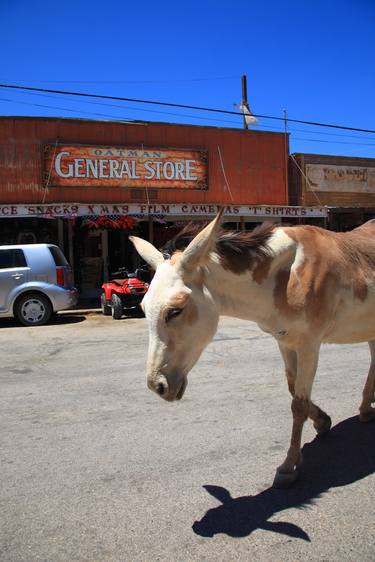 Print of Documentary Travel Photography by Frank Romeo