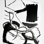 Collection Black and White/Neutrals/Monochrome