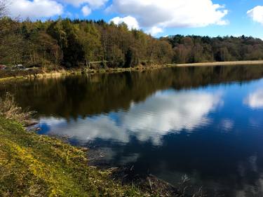 Print of Fine Art Landscape Photography by Forest Arts