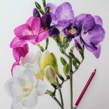 Bouquet of flowers by Alessandra Pagliuca