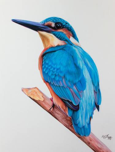 Original Classicism Animal Drawing by Alessandra Pagliuca