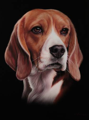 Original Portraiture Dogs Drawing by Alessandra Pagliuca