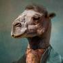 The connection of the image of man and animal in art is often used as a metaphor. In this case, the image of the camel helps to emphasize unreasonable arrogance, narcissism, egocentrism bordering on arrogance. Unfortunately, we often meet similar people in our lives.
