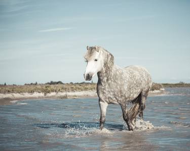 Original Fine Art Horse Photography by Joseph Eta