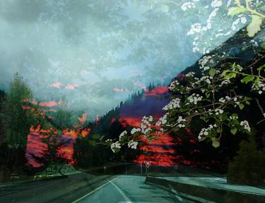 Original Abstract Landscape Printmaking by Synnöve Seidman