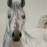 Collection Wildlife paintings