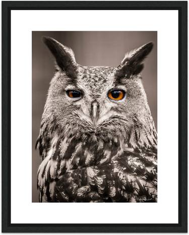 Great horned owl - Limited Edition of 30 thumb
