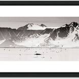 Collection Wildlife  - Special series - very affordable