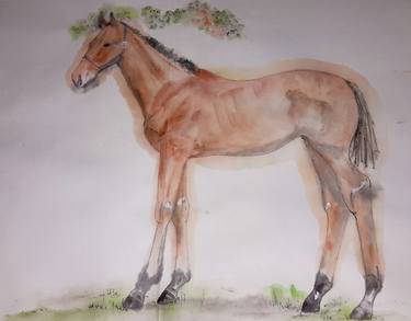 Print of Fine Art Horse Paintings by Debbi Saccomanno Chan