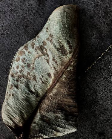 Original Conceptual Still Life Photography by Martin Vallis