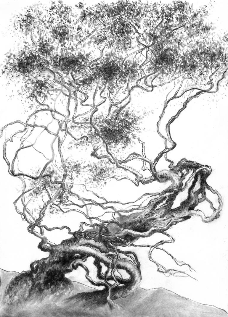 Mystic Tree 3 Drawing by Julia Krastina | Saatchi Art