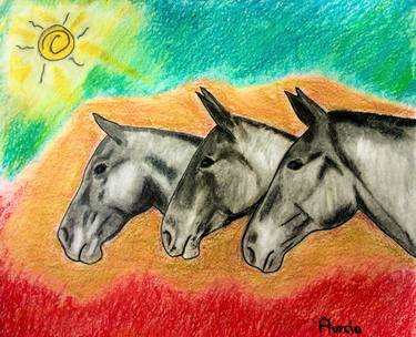 Original Horse Drawings by federico turcio