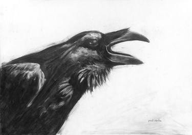 Raven I thumb