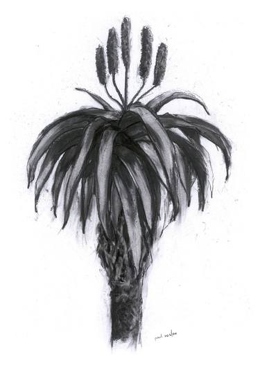 Print of Expressionism Botanic Drawings by Paul Vosloo