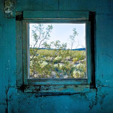Window with Creosote Bush - Dunmovin, CA - Limited Edition 4 of 20 thumb