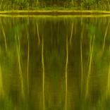 Collection waterscapes, or the color of water