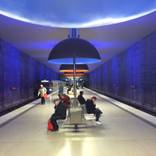 Collection night on earth