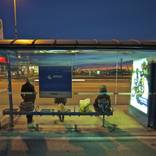 Collection night on earth