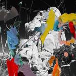 Collection coop with bettina zapp