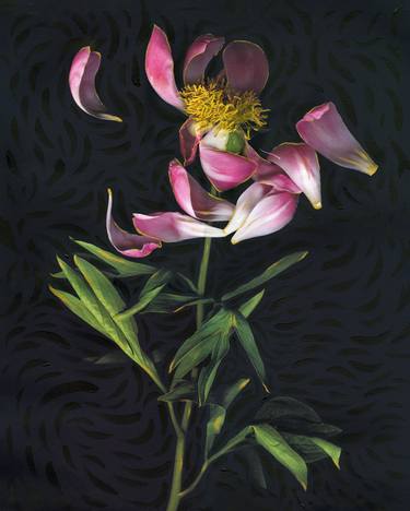 Print of Floral Mixed Media by The Scan Artist